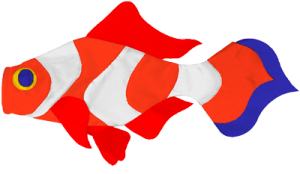 135 Clownfish A