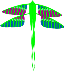 193 Dragonfly E